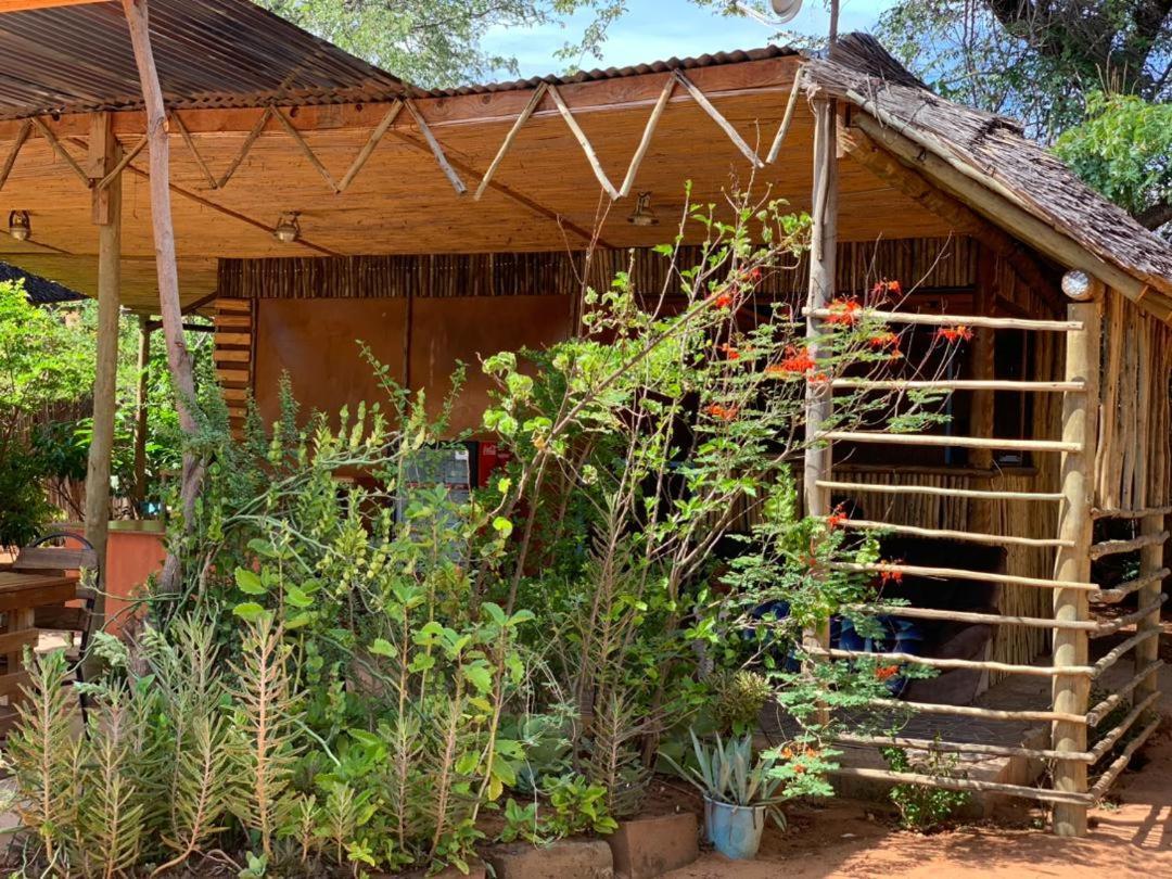 Jungle Breeze Home Stay Kasane Esterno foto