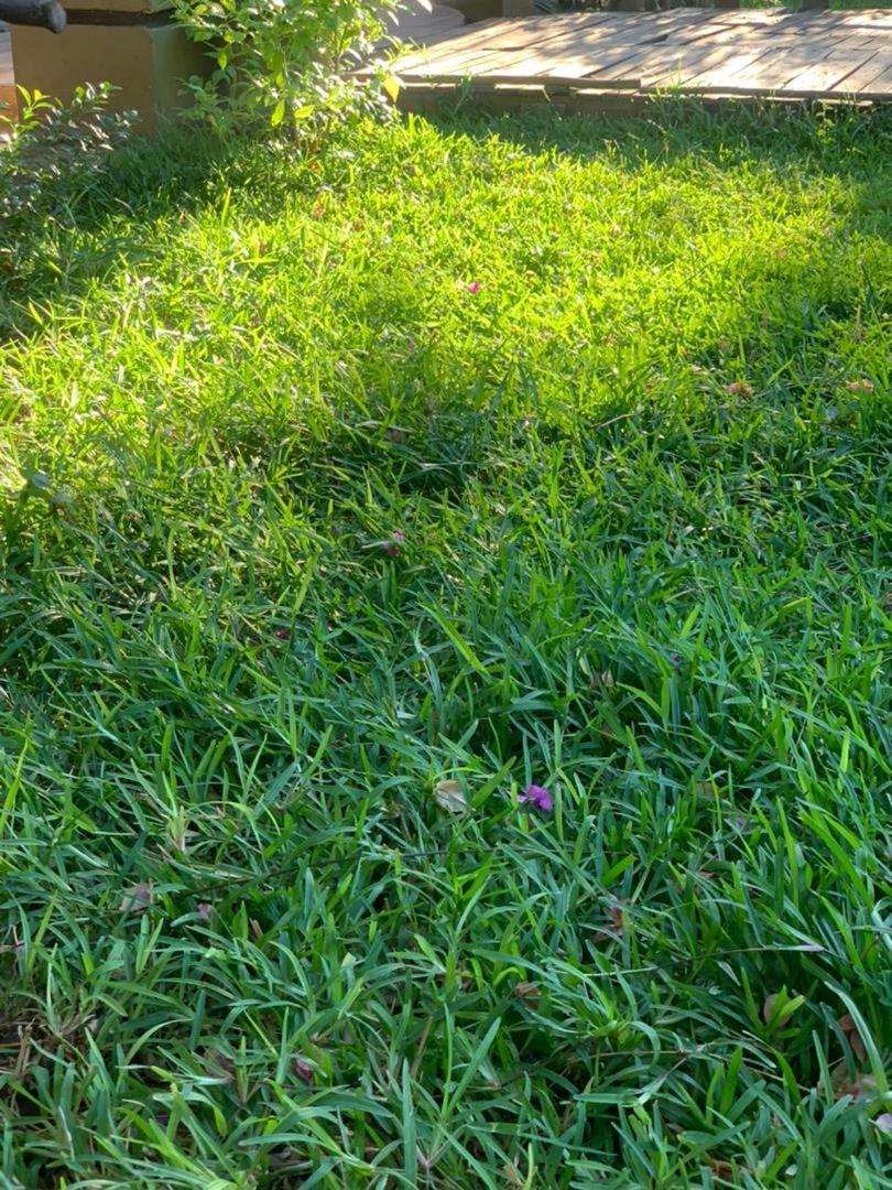 Jungle Breeze Home Stay Kasane Esterno foto