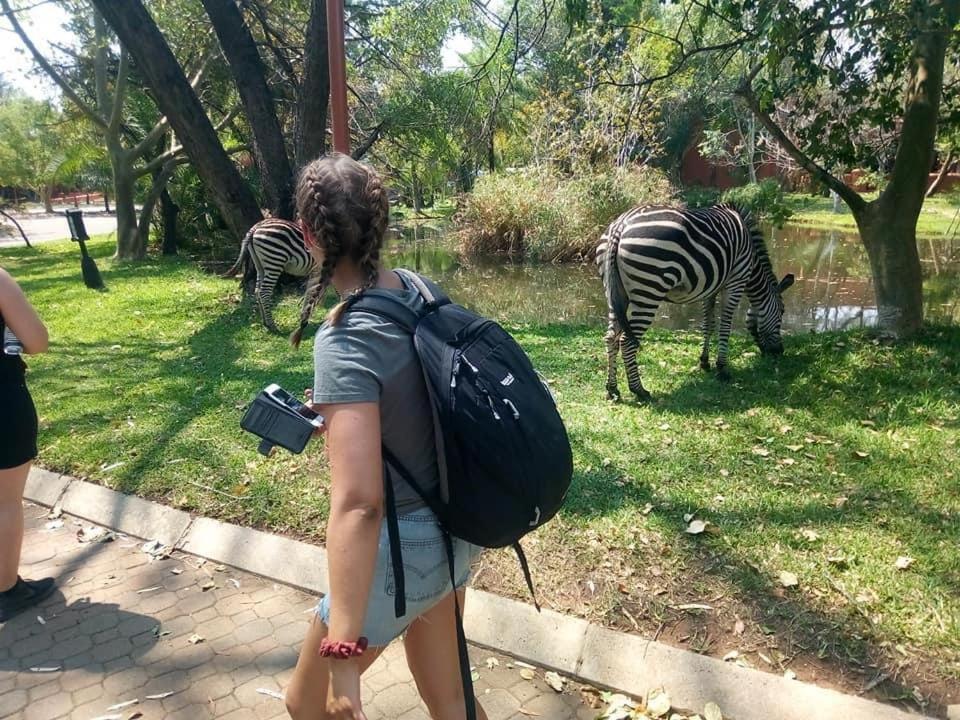 Jungle Breeze Home Stay Kasane Esterno foto
